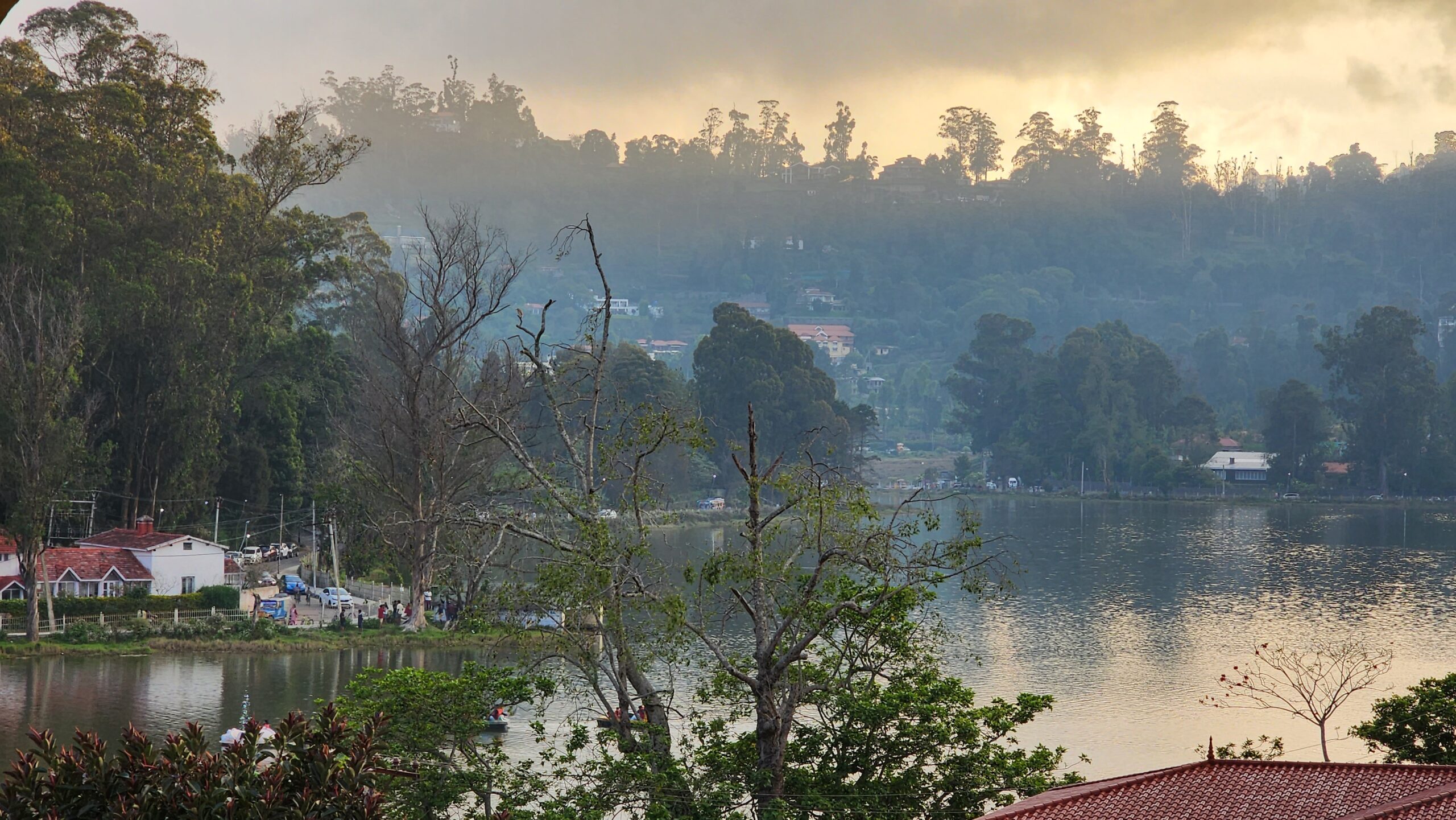 Kodai